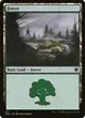 Forest #351