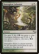 Dawnglow Infusion #225