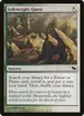 Safewright Quest #240