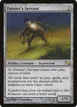 Painter's Servant #257