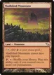 Madblind Mountain #274