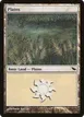 Plains #282