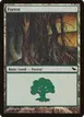 Forest #298