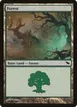 Forest #300