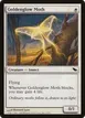 Goldenglow Moth #6
