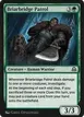 Briarbridge Patrol #187
