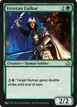 Veteran Cathar #225