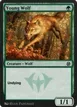 Young Wolf #58
