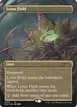 Lotus Field #2023