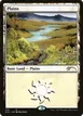 Plains #100
