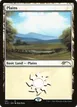 Plains #101