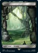 Swamp #1090