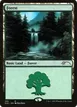 Forest #109