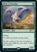 Birds of Paradise #1147