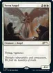 Serra Angel #1161