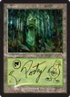Forest #1194