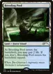 Breeding Pool #132