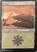 Plains #1351