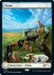 Plains #1513