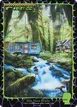 Forest #1656