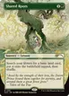 Shared Roots #2391