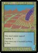 Irrigated Farmland #2519