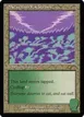 Scattered Groves #2523