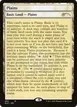 Plains #254