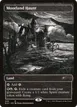 Moorland Haunt #349
