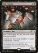Rat Colony #36