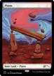 Plains #393