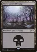 Snow-Covered Swamp #3