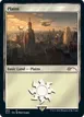 Plains #484