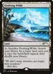 Evolving Wilds #538