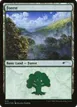 Forest #573