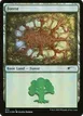 Forest #574