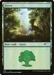 Forest #575