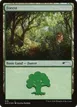 Forest #576