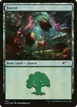 Forest #578