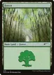 Forest #579