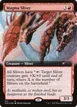 Magma Sliver #641
