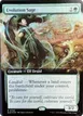 Evolution Sage #765