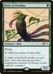 Birds of Paradise #92