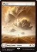 Plains #31