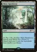 Misty Rainforest #5