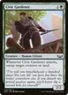 Civic Gardener #140