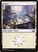 Plains #263