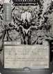 Vampiric Tutor #165