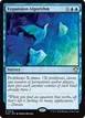 Expansion Algorithm #19