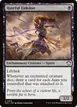 Hateful Eidolon #215